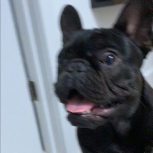 Meet your Posher, Alejandro